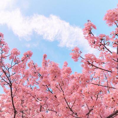 大话封神榜bt版下载